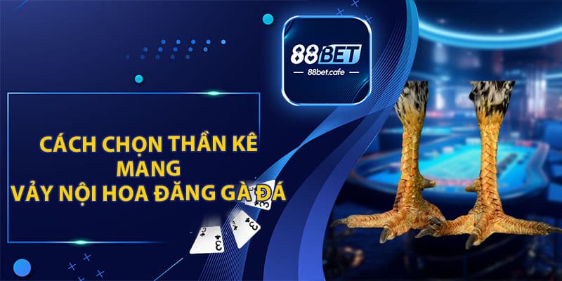 Vảy Nội Hoa Đăng Gà Đá - Ưu Tiên Hàng Đầu Của Sư Kê - KAVON