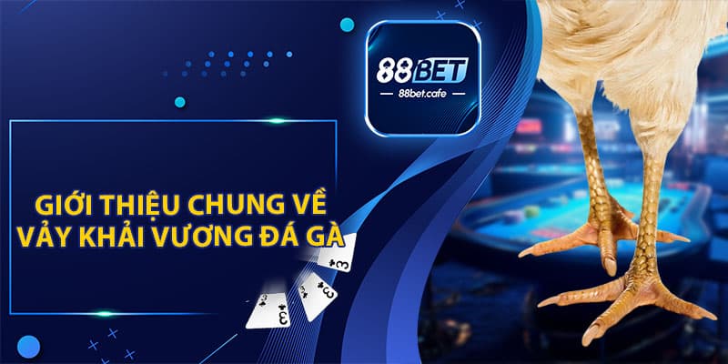 Vảy Khải Vương Đá Gà - Chiến Kê Được Săn Lùng 2026 - KAVON