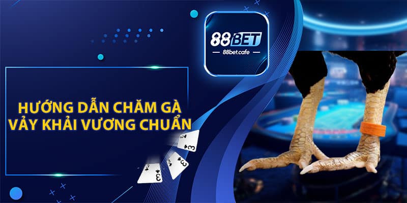 Vảy Khải Vương Đá Gà - Chiến Kê Được Săn Lùng 2026 - KAVON