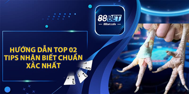 Vảy Khải Vương Đá Gà - Chiến Kê Được Săn Lùng 2026 - KAVON
