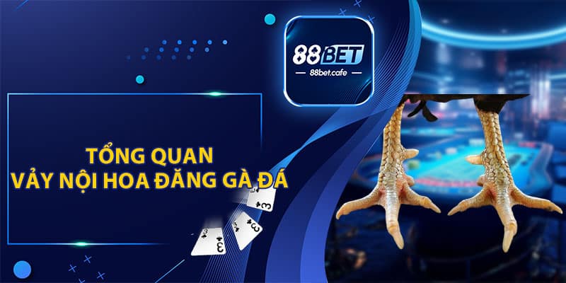 Vảy Nội Hoa Đăng Gà Đá - Ưu Tiên Hàng Đầu Của Sư Kê - KAVON