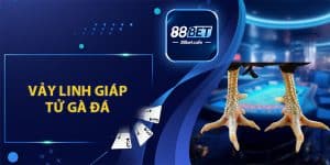 Đá Gà 88BET – Trải Nghiệm Tham Gia Đặt Cược Hấp Dẫn - KAVON