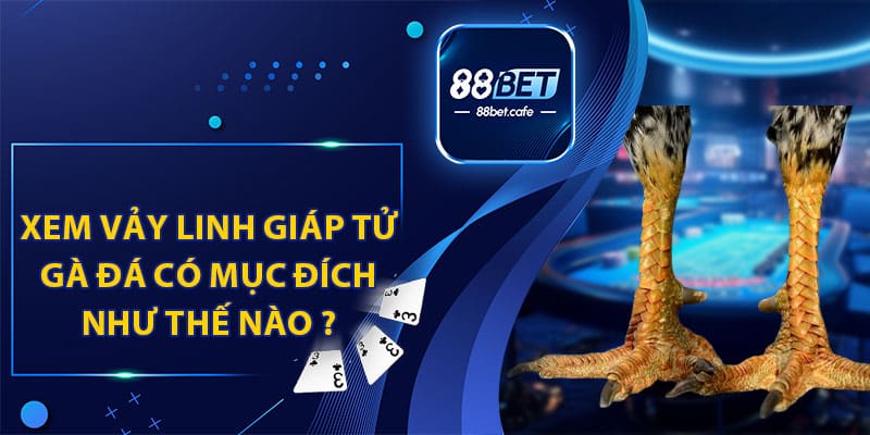 Vảy Linh Giáp Tử Gà Đá - 88BET Cung Cấp Thông Tin Mới Nhất - KAVON