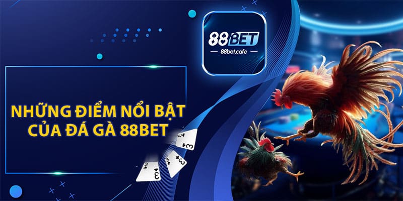 Đá Gà 88BET – Trải Nghiệm Tham Gia Đặt Cược Hấp Dẫn - KAVON