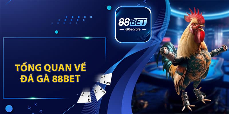 Đá Gà 88BET – Trải Nghiệm Tham Gia Đặt Cược Hấp Dẫn - KAVON