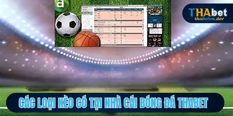 Nhà Cái Bóng Đá THABET - Thương Hiệu Cá Cược Số 1 Châu Á - KAVON Nhà Cái Bóng Đá THABET - Thương Hiệu Cá Cược Số 1 Châu Á - KAVON