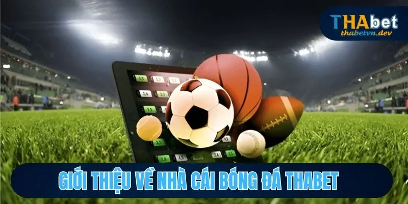 Nhà Cái Bóng Đá THABET - Thương Hiệu Cá Cược Số 1 Châu Á - KAVON Nhà Cái Bóng Đá THABET - Thương Hiệu Cá Cược Số 1 Châu Á - KAVON