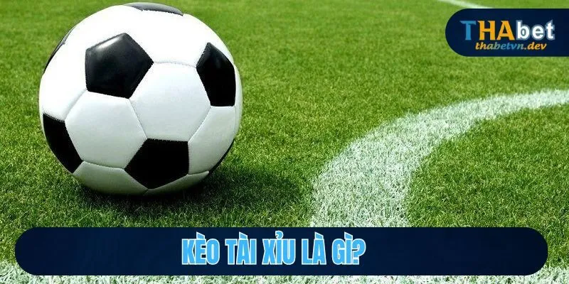 Dự Đoán Kèo Tài Xỉu Chuẩn Xác Cùng Nhà Cái Uy Tín THABET - KAVON Dự Đoán Kèo Tài Xỉu Chuẩn Xác Cùng Nhà Cái Uy Tín THABET - KAVON