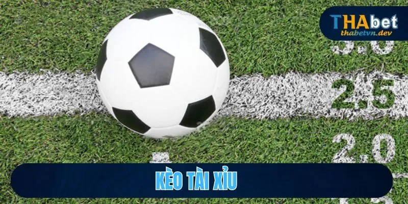 Dự Đoán Kèo Tài Xỉu Chuẩn Xác Cùng Nhà Cái Uy Tín THABET - KAVON Dự Đoán Kèo Tài Xỉu Chuẩn Xác Cùng Nhà Cái Uy Tín THABET - KAVON
