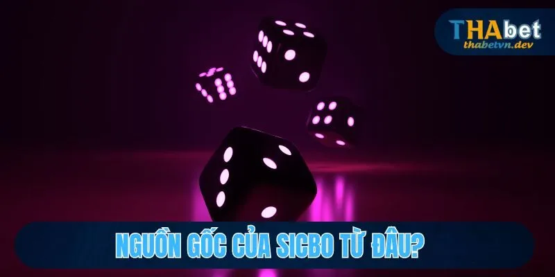 Sicbo Là Gì? Hướng Dẫn Cách Chơi, Cách Cược Sicbo tại Thabet - KAVON