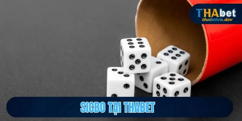 Sicbo Là Gì? Hướng Dẫn Cách Chơi, Cách Cược Sicbo tại Thabet - KAVON
