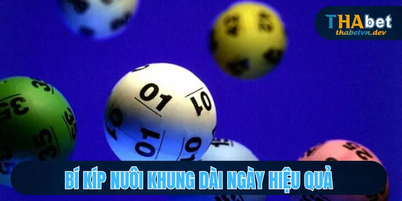 Lô Khung Huy Hoàng Và Kinh Nghiệm Cược Chắc Thắng 99% - KAVON Lô Khung Huy Hoàng Và Kinh Nghiệm Cược Chắc Thắng 99% - KAVON