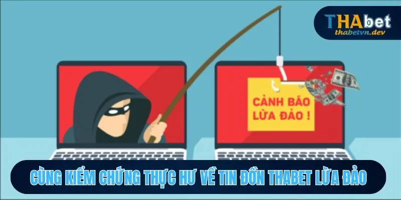 THABET Lừa Đảo Phân Tích Những Lý Do Dẫn Đến Nghi Vấn - KAVON THABET Lừa Đảo Phân Tích Những Lý Do Dẫn Đến Nghi Vấn - KAVON