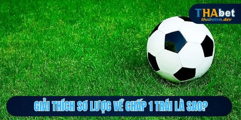 Chấp 1 Trái Là Sao? Giải Thích Rõ Ràng Hơn Cho Hội Viên - KAVON