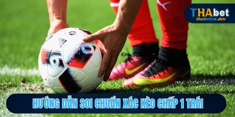 Chấp 1 Trái Là Sao? Giải Thích Rõ Ràng Hơn Cho Hội Viên - KAVON