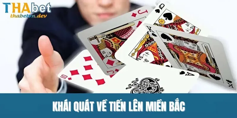 Tiến Lên Miền Bắc - Tận Hưởng Trải Nghiệm Thú Vị Tại THABET - KAVON
