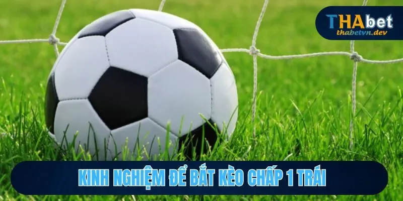 Chấp 1 Trái Là Sao? Giải Thích Rõ Ràng Hơn Cho Hội Viên - KAVON