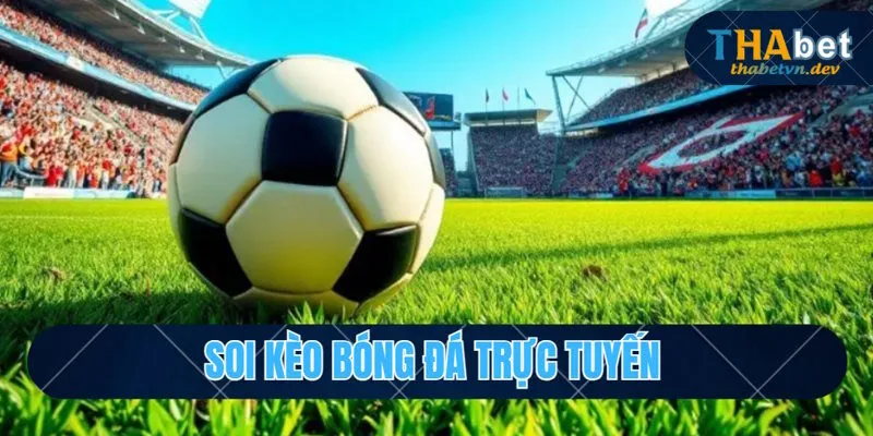 Thể Thao Thabet - Sảnh Cược Hot Hàng Đầu Tại Châu Á 2026 - KAVON