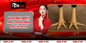 Tin Tức - S666 - KAVON