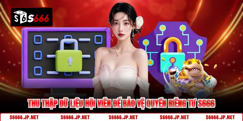 Quyền Riêng Tư S666 Cam Kết Bảo Toàn Dữ Liệu Hội Viên - KAVON
